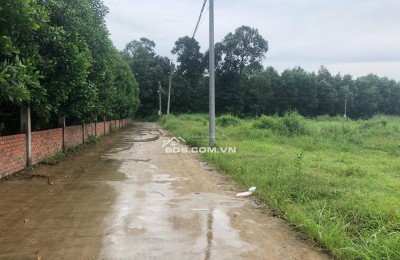 Bán đất Mặt tiền đường ĐT 821, tại xã Lộc Giang, Đức Hòa, tỉnh Long An.